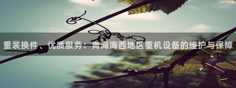 顺盈娱乐注册平台怎么样