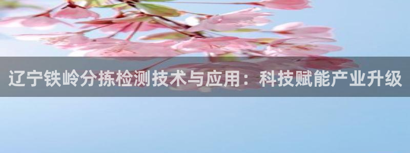 顺盈娱乐注册登录地址