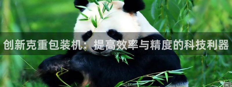 顺盈娱乐注册资金多少
