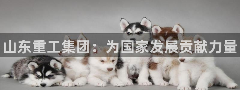 顺盈娱乐招商钱判官333OO